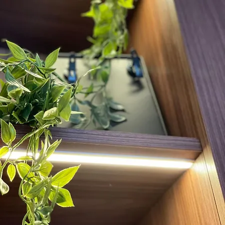 Penthouse Lebada Lake View * Bukurešť